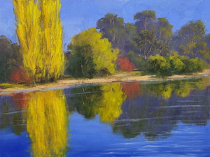 Tumut River Autumn Reflections