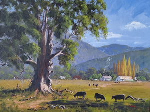 Standing Strong, Tumut Landscape