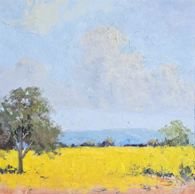 Load image into Gallery viewer, Clouds Forming Canola Fields, You Yangs
