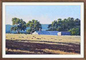Grampians Sheep Station