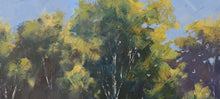 Load image into Gallery viewer, Rockpool Reflections

