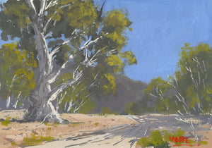 Parachilna Gorge, Flinders Ranges