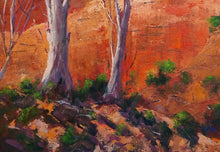 Load image into Gallery viewer, Dry Gorge
