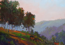 Load image into Gallery viewer, Noosa Trails Sunset
