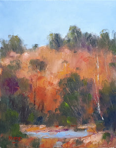 Hinterland Waterhole