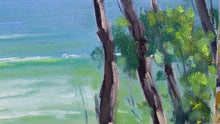 Load image into Gallery viewer, View From Noosa National Park Walk
