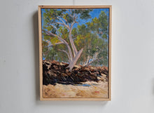 Load image into Gallery viewer, Dry Creek Bed South Of Winton
