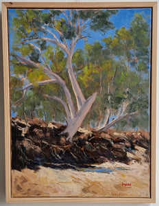 Dry Creek Bed South Of Winton
