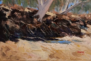 Dry Creek Bed South Of Winton