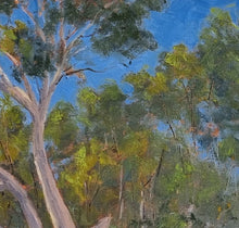 Load image into Gallery viewer, Dry Creek Bed South Of Winton
