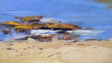 Load image into Gallery viewer, Afternoon Light Mornington
