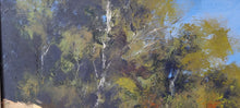Load image into Gallery viewer, Coopers Creek
