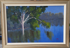 Morning Reflections On Darling River