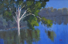 Load image into Gallery viewer, Morning Reflections On Darling River
