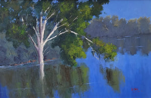 Morning Reflections On Darling River