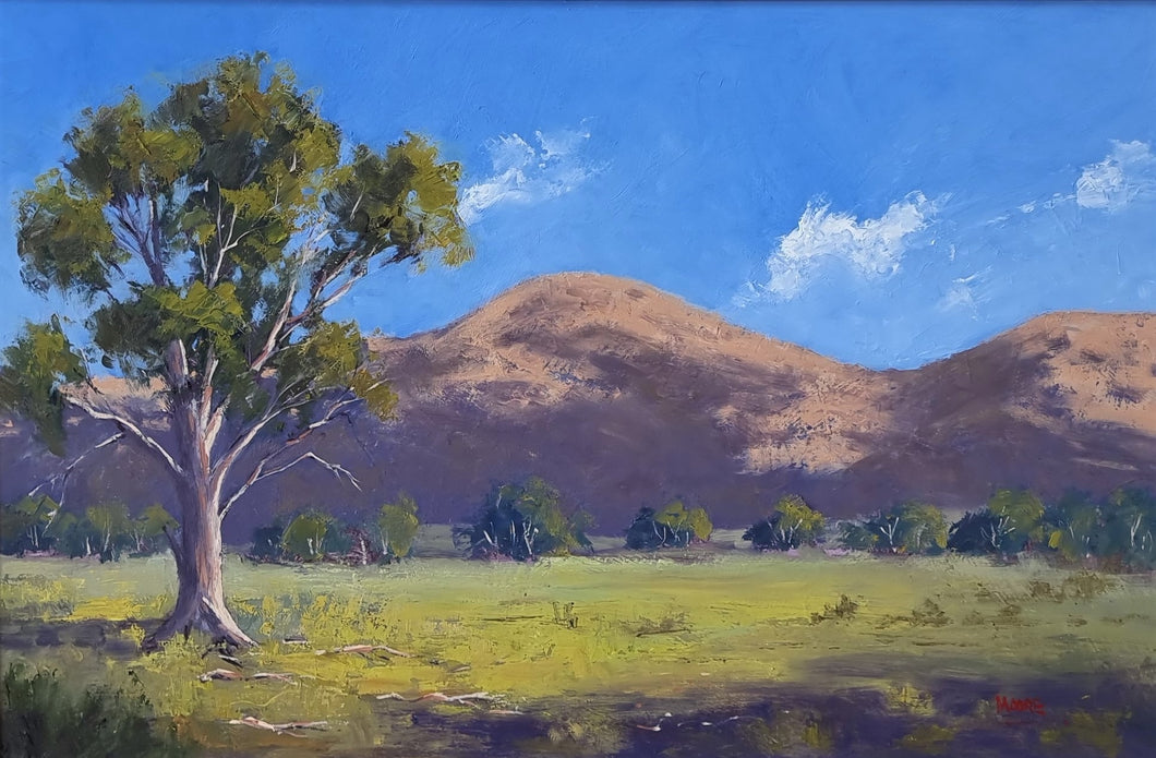 Near Wilpena Pound
