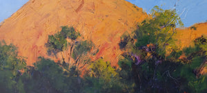 Rising Moon At Sunset Arkaroola