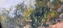 Load image into Gallery viewer, Blackdown Tablelands View
