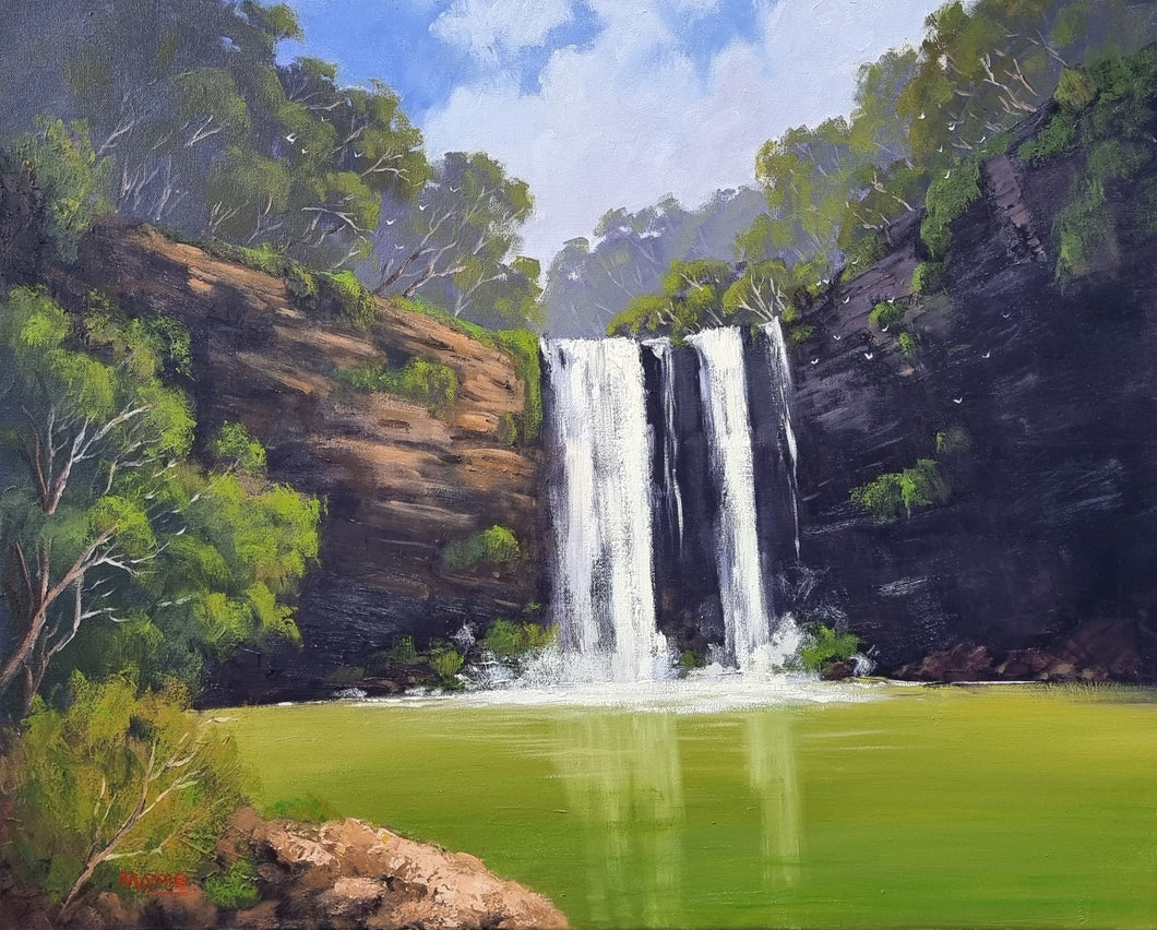 Dangar Falls, Dorrigo NSW