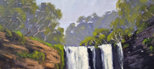 Load image into Gallery viewer, Dangar Falls, Dorrigo NSW
