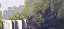 Load image into Gallery viewer, Dangar Falls, Dorrigo NSW
