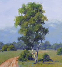 Load image into Gallery viewer, Cyrstal Waters Mist (Framed)
