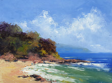 Load image into Gallery viewer, Cook&#39;s Cove
