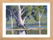 Load image into Gallery viewer, Majestic Gums, Menindee Lakes - Framed Print
