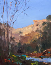 Load image into Gallery viewer, Hinterland Waterhole 3
