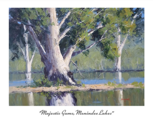 8 x 10" Print Majestic Gums Menindee Lakes