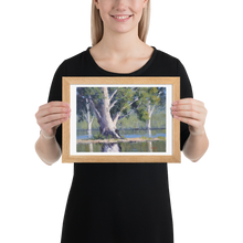 Load image into Gallery viewer, Majestic Gums, Menindee Lakes - Framed Print

