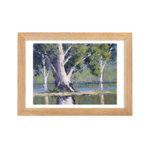 Load image into Gallery viewer, Majestic Gums, Menindee Lakes - Framed Print
