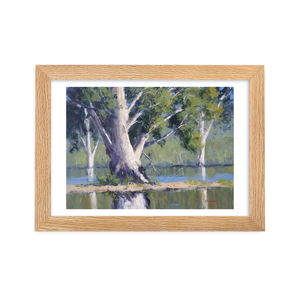 Majestic Gums, Menindee Lakes - Framed Print