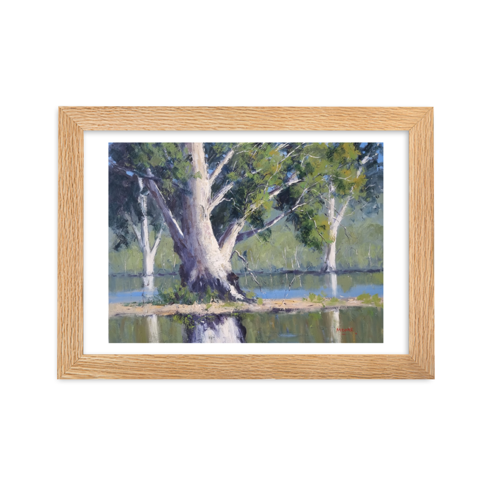 Majestic Gums, Menindee Lakes - Framed Print