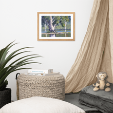 Load image into Gallery viewer, Majestic Gums, Menindee Lakes - Framed Print
