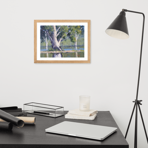 Majestic Gums, Menindee Lakes - Framed Print