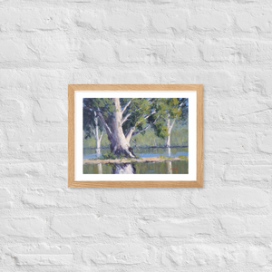 Majestic Gums, Menindee Lakes - Framed Print