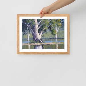 Majestic Gums, Menindee Lakes - Framed Print