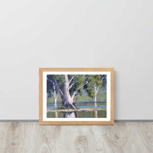 Majestic Gums, Menindee Lakes - Framed Print