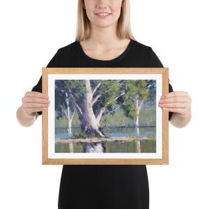 Majestic Gums, Menindee Lakes - Framed Print