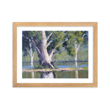 Load image into Gallery viewer, Majestic Gums, Menindee Lakes - Framed Print
