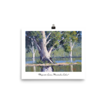 Load image into Gallery viewer, 8 x 10&quot; Print Majestic Gums Menindee Lakes
