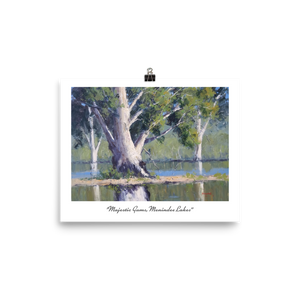 8 x 10" Print Majestic Gums Menindee Lakes